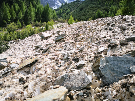 Diese Lawinen ist erst 50 mtr vor der Hauptstraße vor dem Ortseingang zum Stehen gekommen.50 mtr