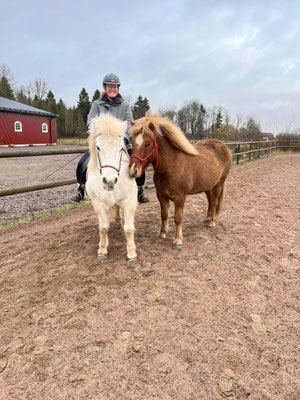 Tamlin som handhäst