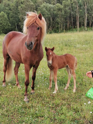 Sòl med mamma Silje
