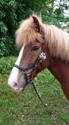 Midsommarfin Djarfur