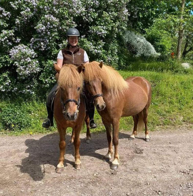 Thor som unghästtränare, här med Silje