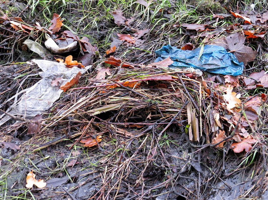 Abfall im Laichgewässer kann den Fortpflanzungserfolg deutlich verringern.