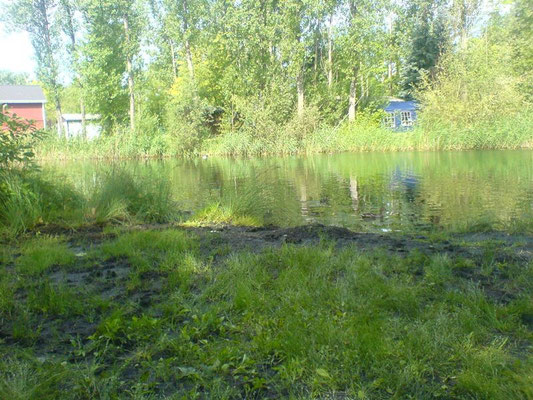 In der Lagune am Campingplatz wurden Wasserproben entnommen.