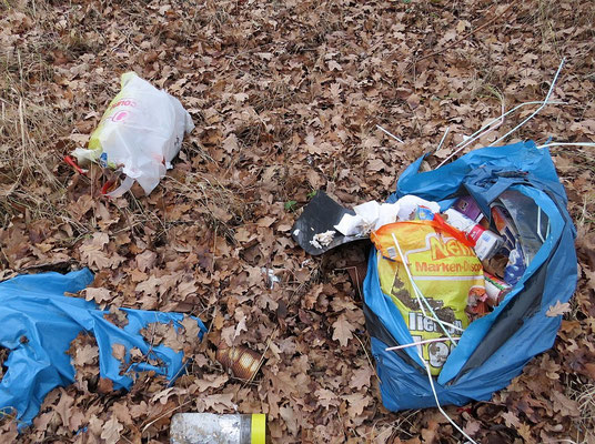 Im Müllsack war der Abfall, warum er nicht in der Mülltonne, sondern in der Natur landete, weiß nur der Verursacher.