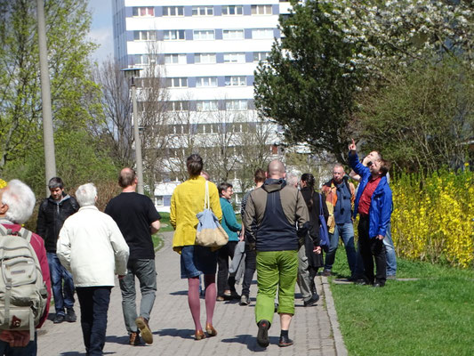 Exkursion nach der NABU-Mitgliederversammlung. Foto: Beatrice Jeschke