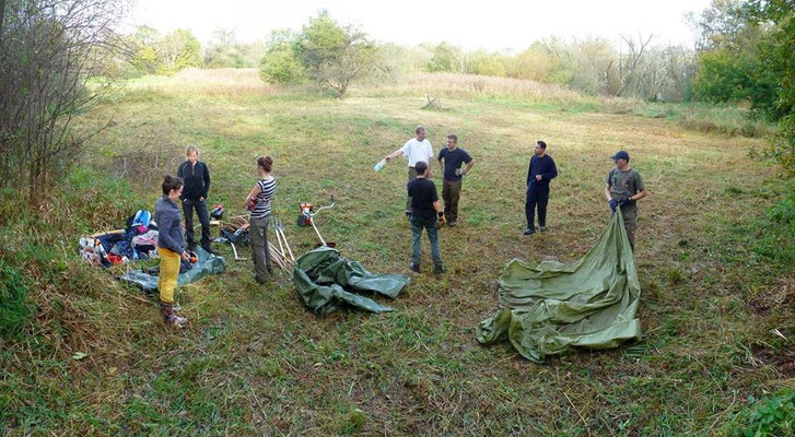 Nach dem ersten Arbeitstag ist ca. die Hälfte der Wiese gemäht.