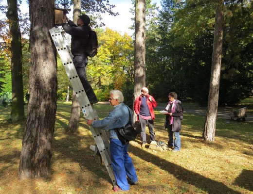 Am 19. Oktober 2013 hatte der NABU Leipzig zum Arbeitseinsatz auf dem Südfriedhof eingeladen.</p>Foto: Karsten Peterlein