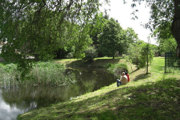 Am Dorfteich wurden eine Stunde lang die Vögel beobachtet und gezählt.