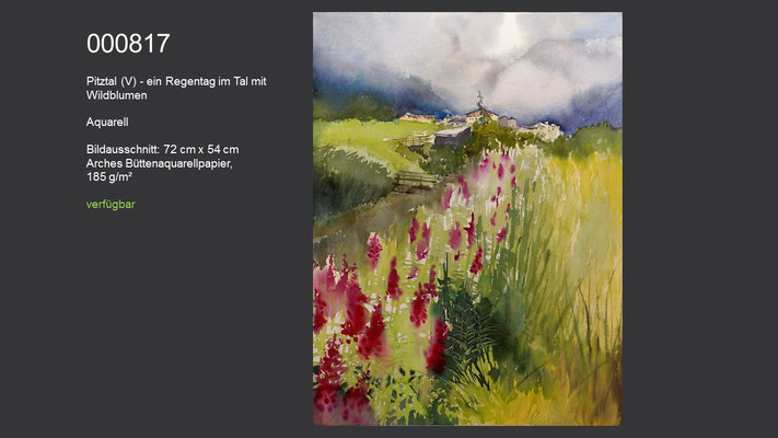 817 / Aquarell / Pitztal (V) - ein Regentag im Tal mit Wildblumen; 72 cm x 54 cm; verfügbar