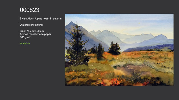 823 / Swiss Alps - Alpine heath in autumn, Watercolor painting, 75 cm x 50 cm; available
