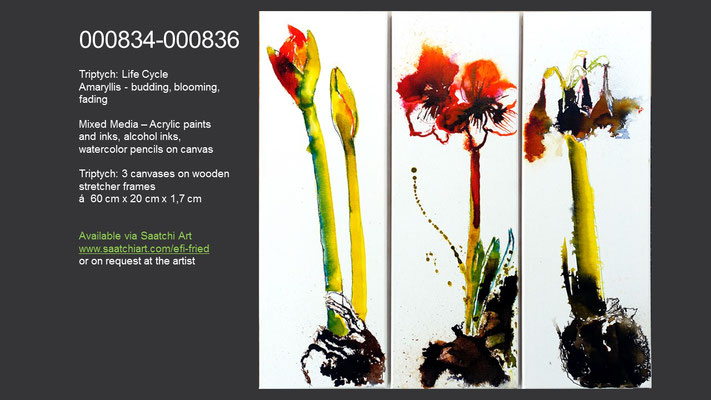 Amaryllis - budding, blooming, fading; Triptych 3 canvases á 60 x 20 cm; available