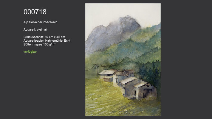 718 / Aquarell / Alp Selva bei Poschiavo, plein air,  45 cm x 30 cm; verfügbar (gemalt während eines plein air Malkurses von Ingrid Buchthal in Poschiavo)