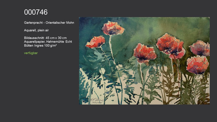 746 / Aquarell, plein air / Gartenpracht - Orientalischer Mohn, 45 cm x 30 cm; verfügbar