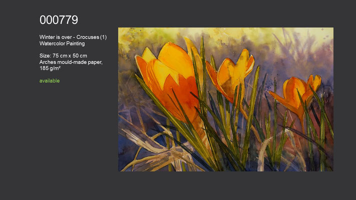 779 / Winter is over - Crocuses (1); Watercolor painting, 75 cm x 50 cm; available