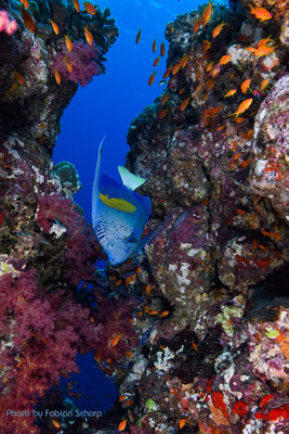 Foto von Fabian Schorp