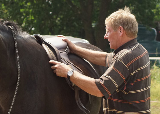 DIPO Sattel Experte Pferde Bewegung Tierarzt Osteotherapie TOS Dr. Grommes