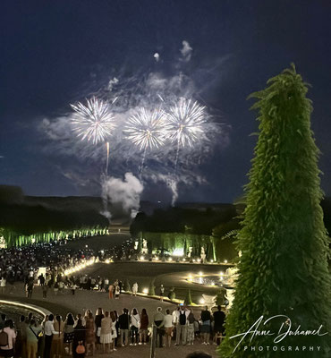 Grandes Eaux Nocturnes- Château de Versailles