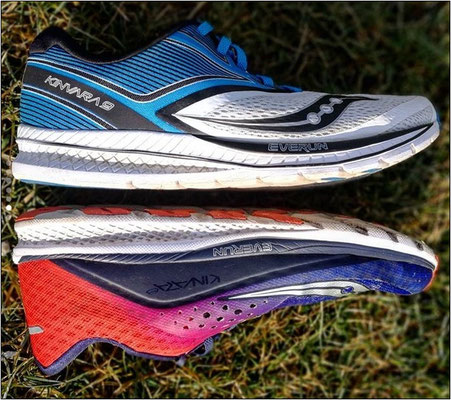 'Kinvara 9' vs. 'Kinvara 8'.