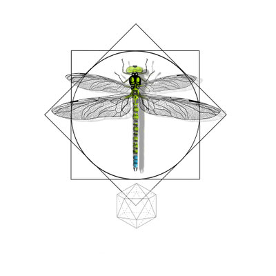 Libelle geometrisch