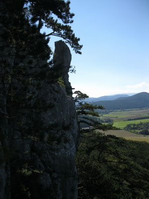 Blick zum Kollerturm