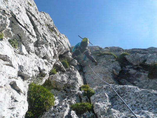 5. Sl, schöne Verschneidung