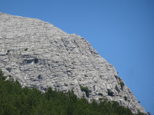 Blick auf den Felsgrat des Grigoras (gesehen von Theologos)