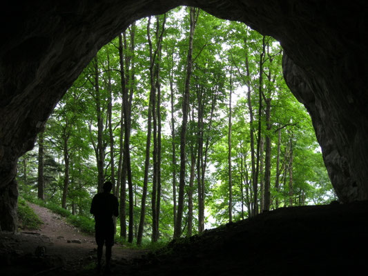 in der überraschend langen und großen Drachenhöhle