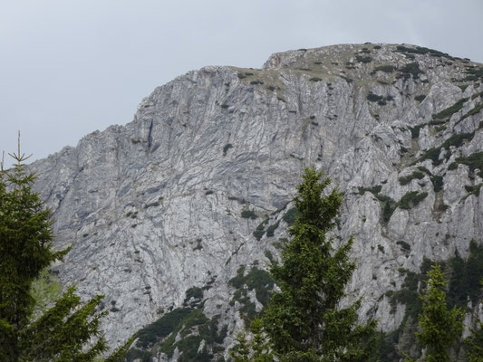 Kordeschkopf Südwand
