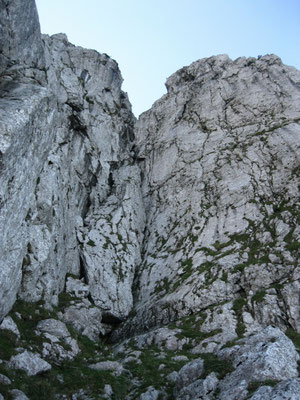 der Paulikamin