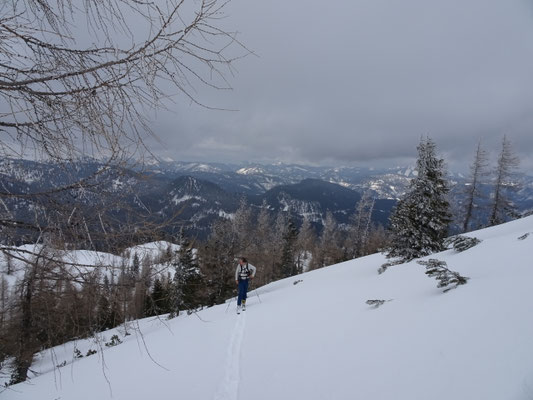 weiter auf dem Kamm der Mitterhalt