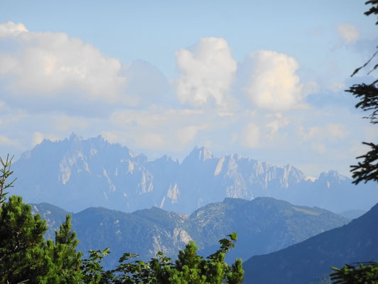 der Gosaukamm