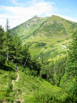 am Weg zum Lamingsattel