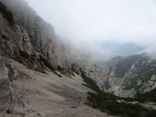 aus dem Nebel taucht der Wildensteiner Turm auf