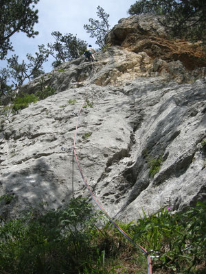 2. Sl