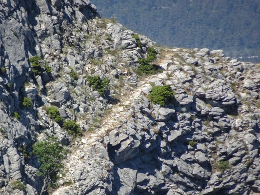 die Promenade im Zoom