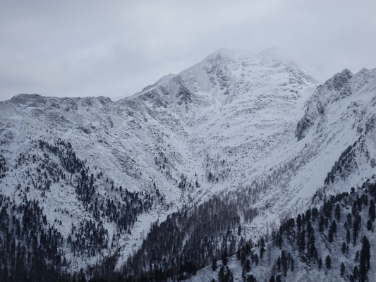 Blick zur Hochhaide