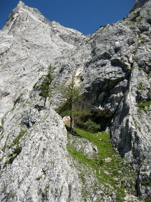 Links an der Kante neben der Höhle beginnt der Reinlweg