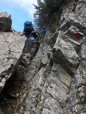 hinauf zum Zerbenkamm und der Latschengasse