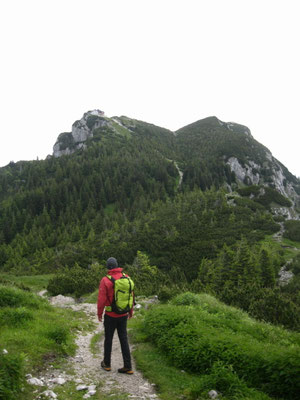 am Traunsteinplateau