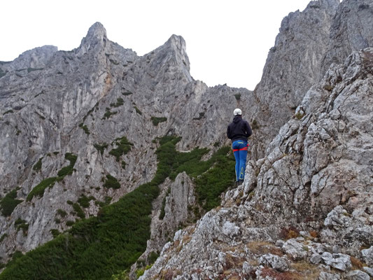 der Weiterweg zum Gipfel (links in Latschennähe)