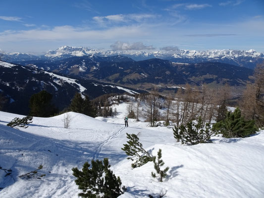 wieder etwas flacher am NW-Kamm unterwegs