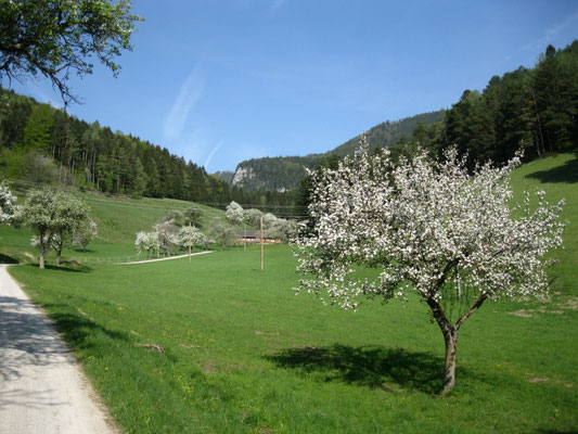 vom Obertalbauern erblickt man bereits die Felswand