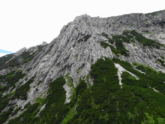 Blick von der Bischofsmütze zum Vöcklabrucker Pfeiler