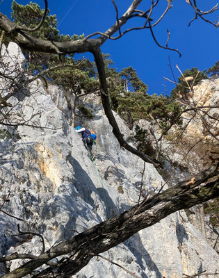 schöne pfeilerartige Felsrippe (8. Sl)