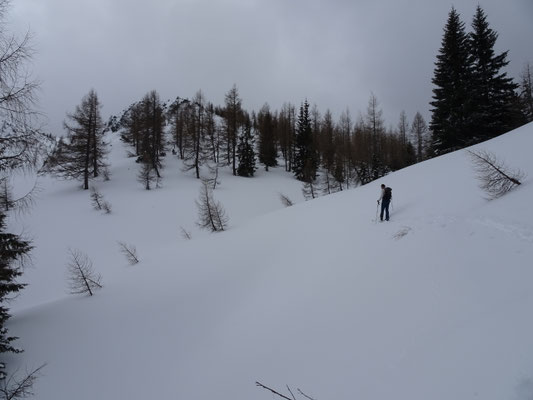 auf der Mitterhalt