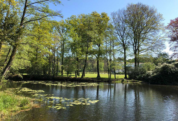 Laichgewässer in der Parkanlage des Gewerbeparks