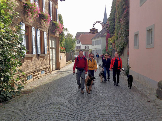 Durch das idyllische Weindorf Forst/Weinstraße