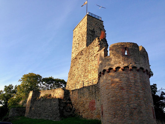 Immer wieder die Wachtenburg in Wachenheim/Weinstraße