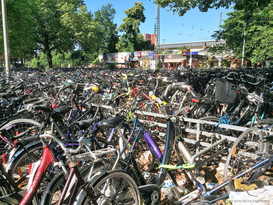 Münster ist eine Fahrradstadt...