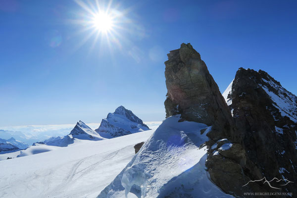 Im Fieschersattel. Sicht um Agassiz- und Finsteraarhorn